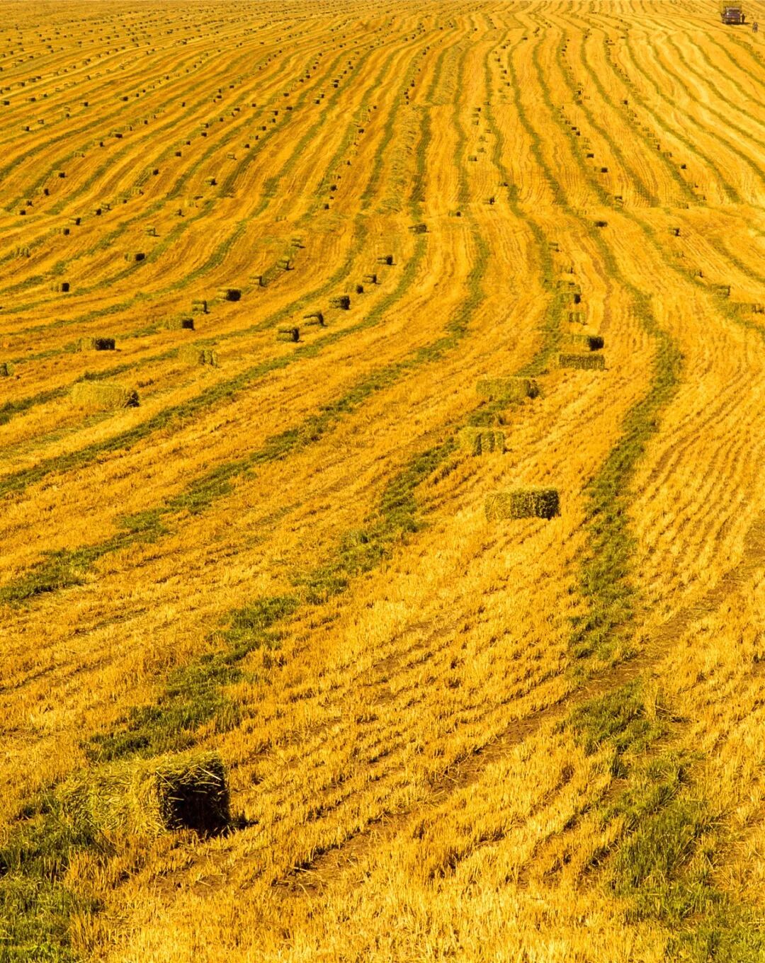 Image related to How Many Spectacular Landscapes Does Zhangye, Gansu Offer?