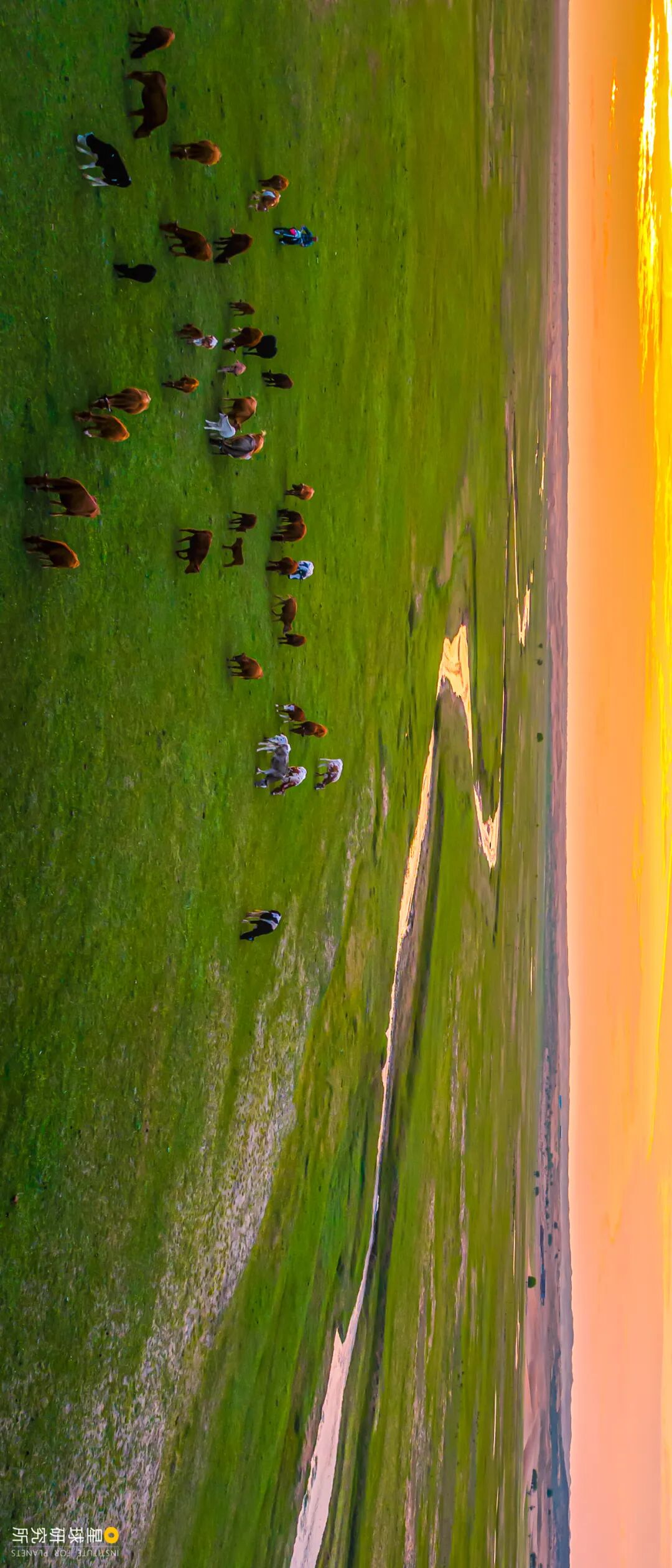Image related to What Is the Real Ordos Like?