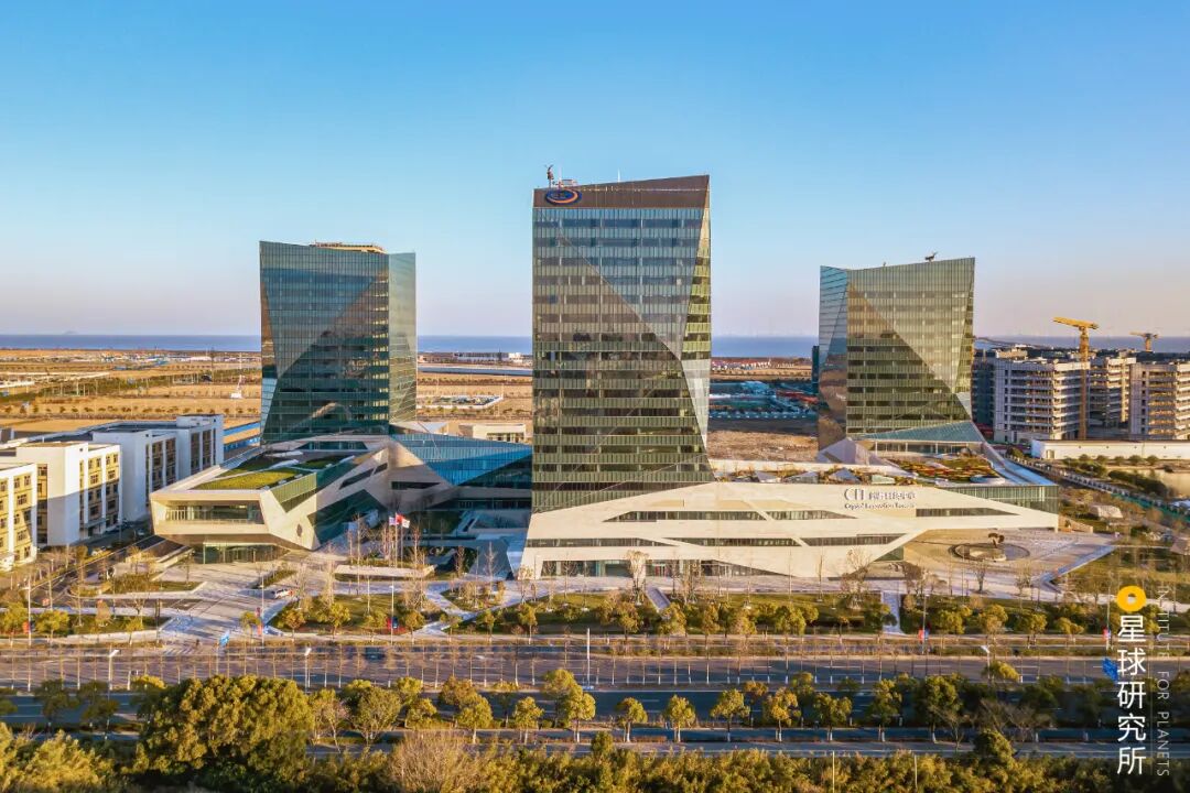 Image related to Why Does Shanghai Need Lingang?