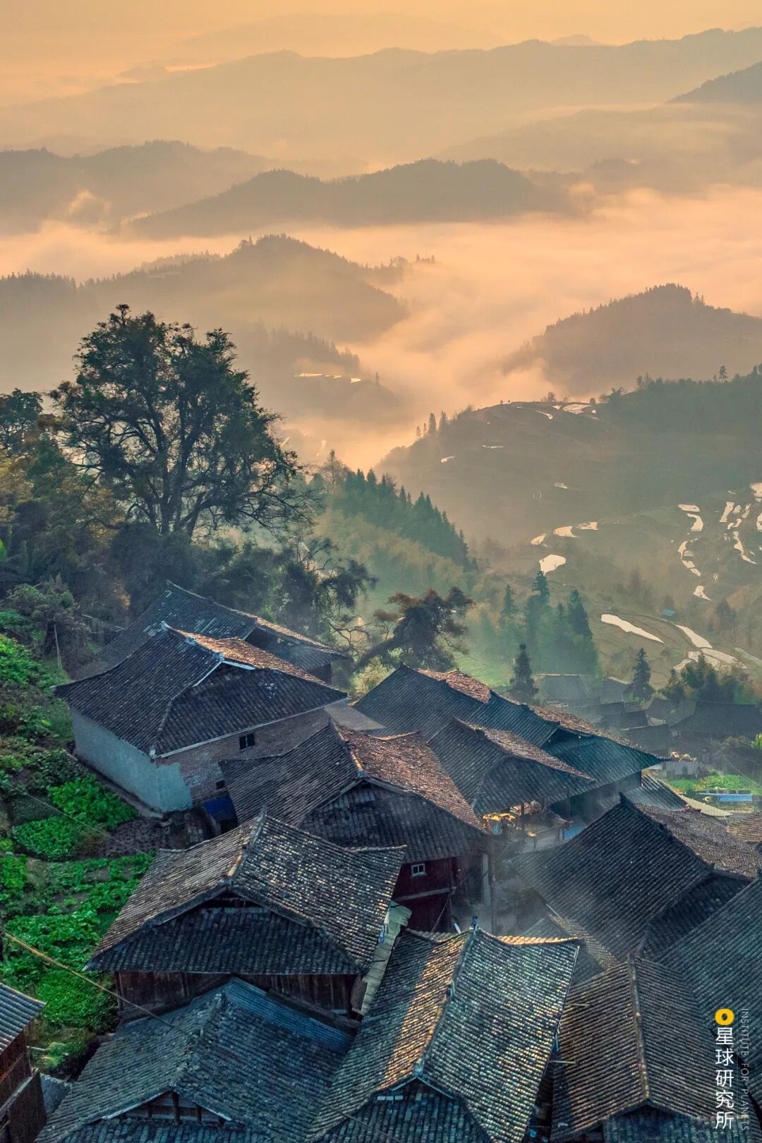 Image related to Where Is the Homeland of 11 Million Miao People?