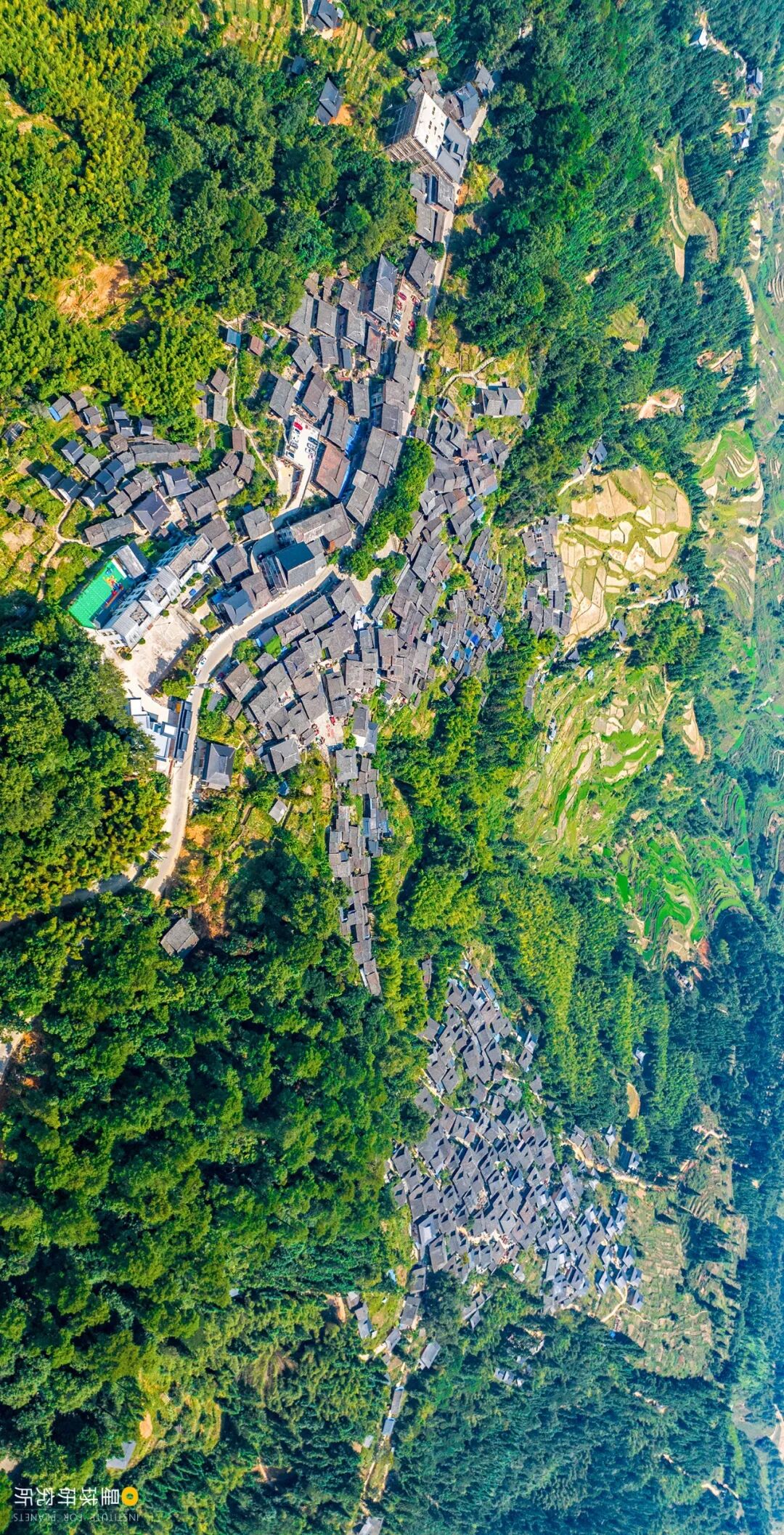 Image related to Where Is the Homeland of 11 Million Miao People?