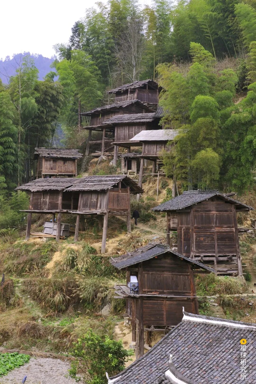 Image related to Where Is the Homeland of 11 Million Miao People?
