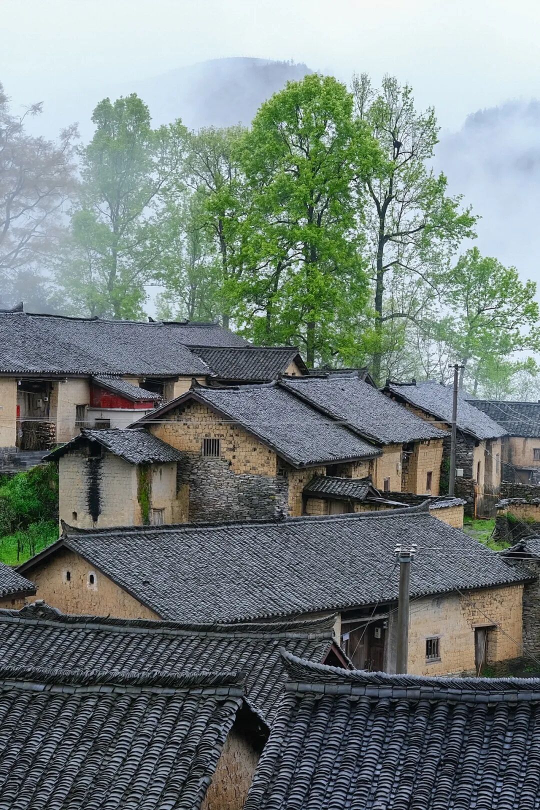 Image related to Where Is the Homeland of 11 Million Miao People?