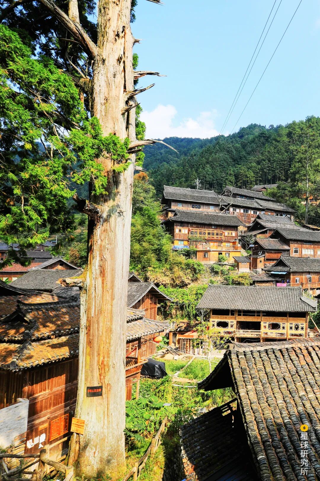 Image related to Where Is the Homeland of 11 Million Miao People?