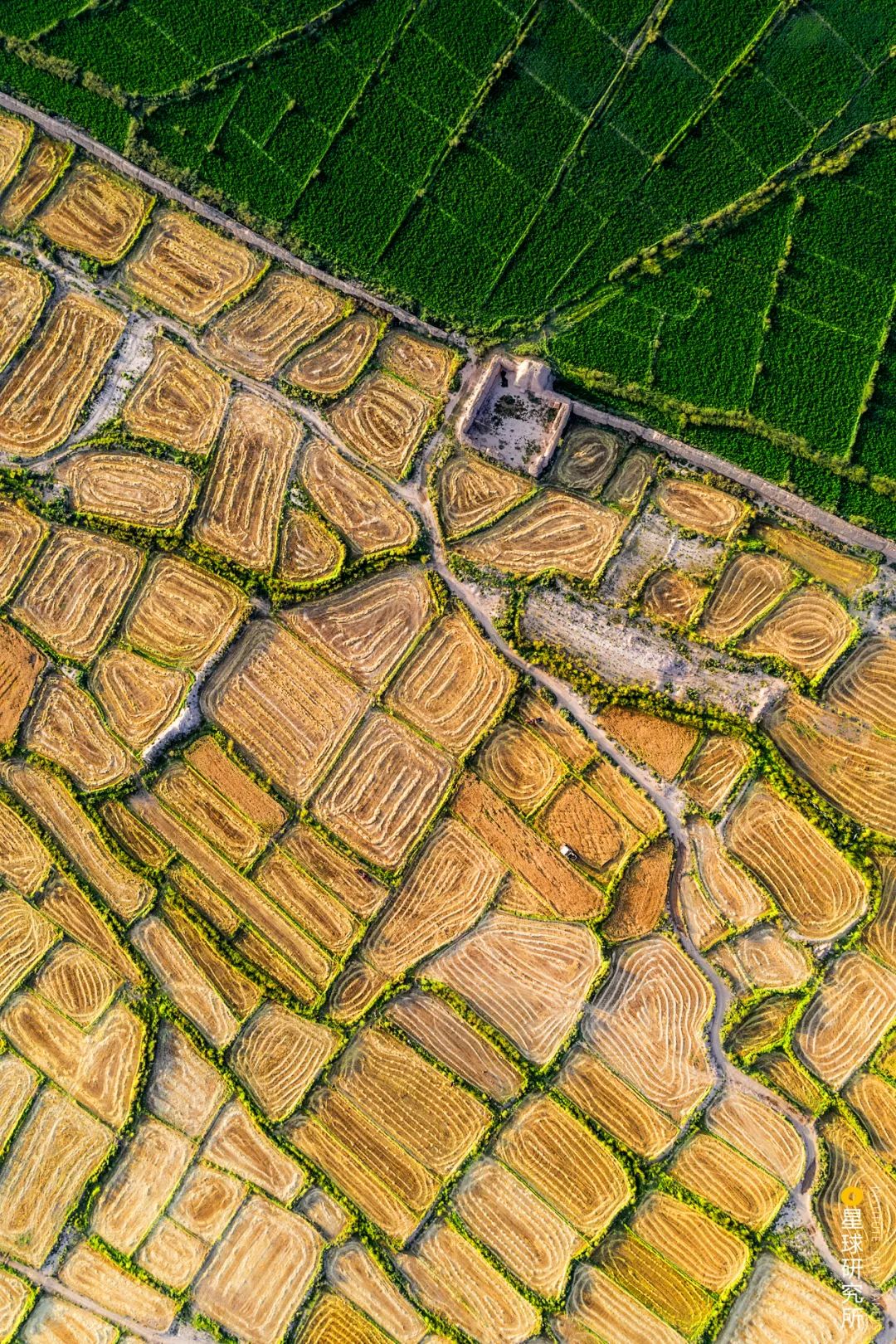 Image related to Feature: Journey Through the Hexi Corridor in Northwest China
