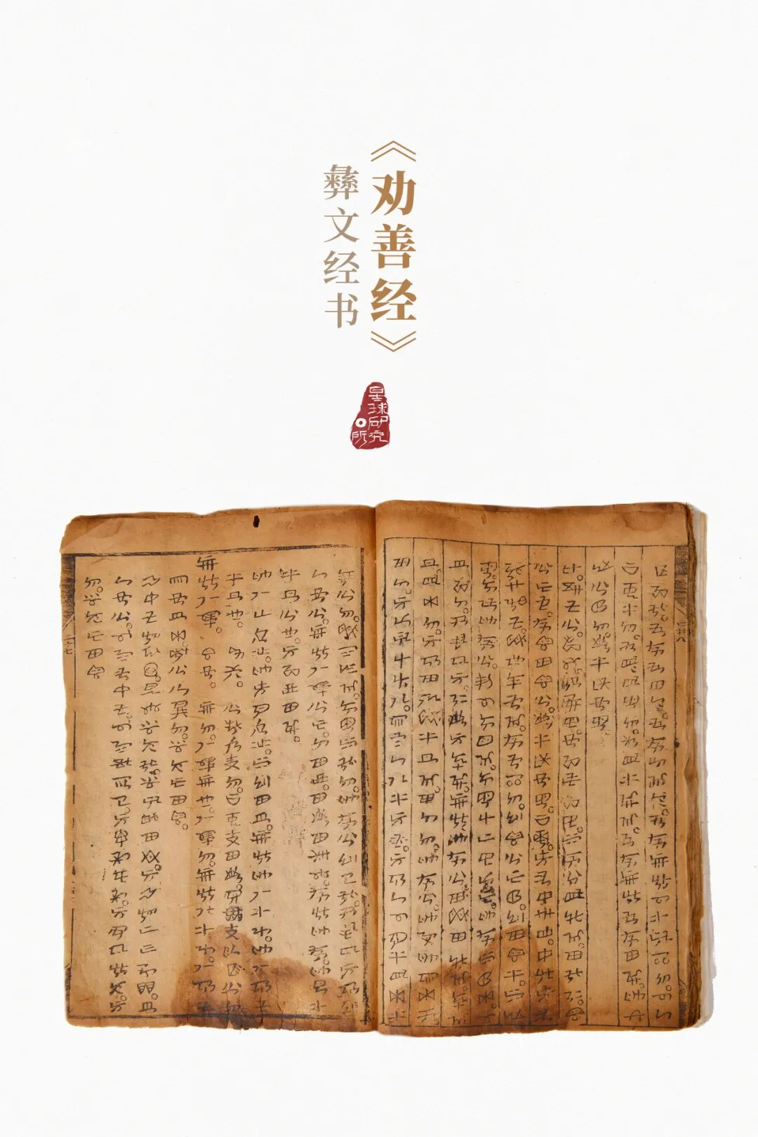 Image related to How Many Stunning Landscapes Grace Chuxiong, Yunnan?