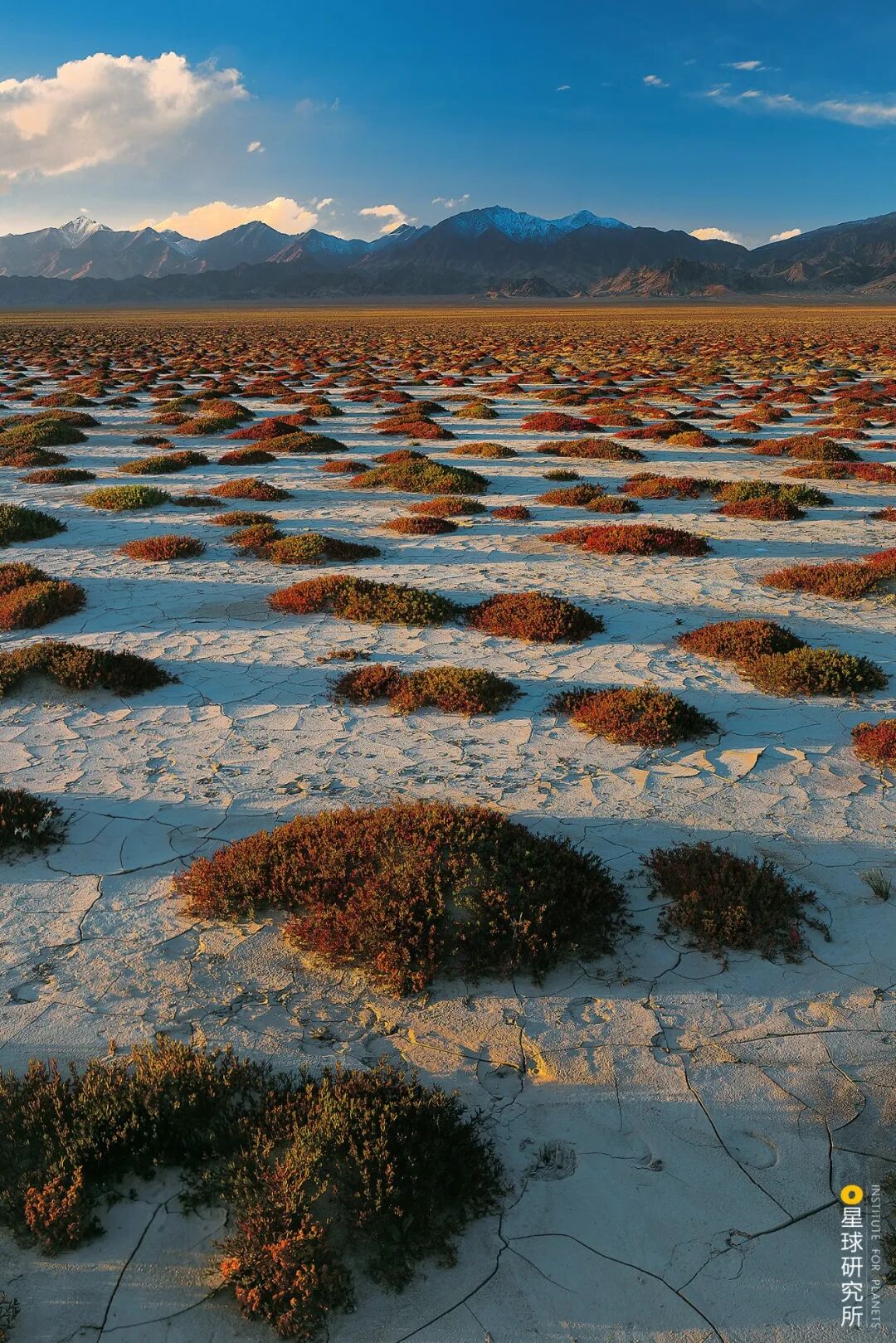 Image related to Altun Mountains: China's Most Obscure No Man's Land!