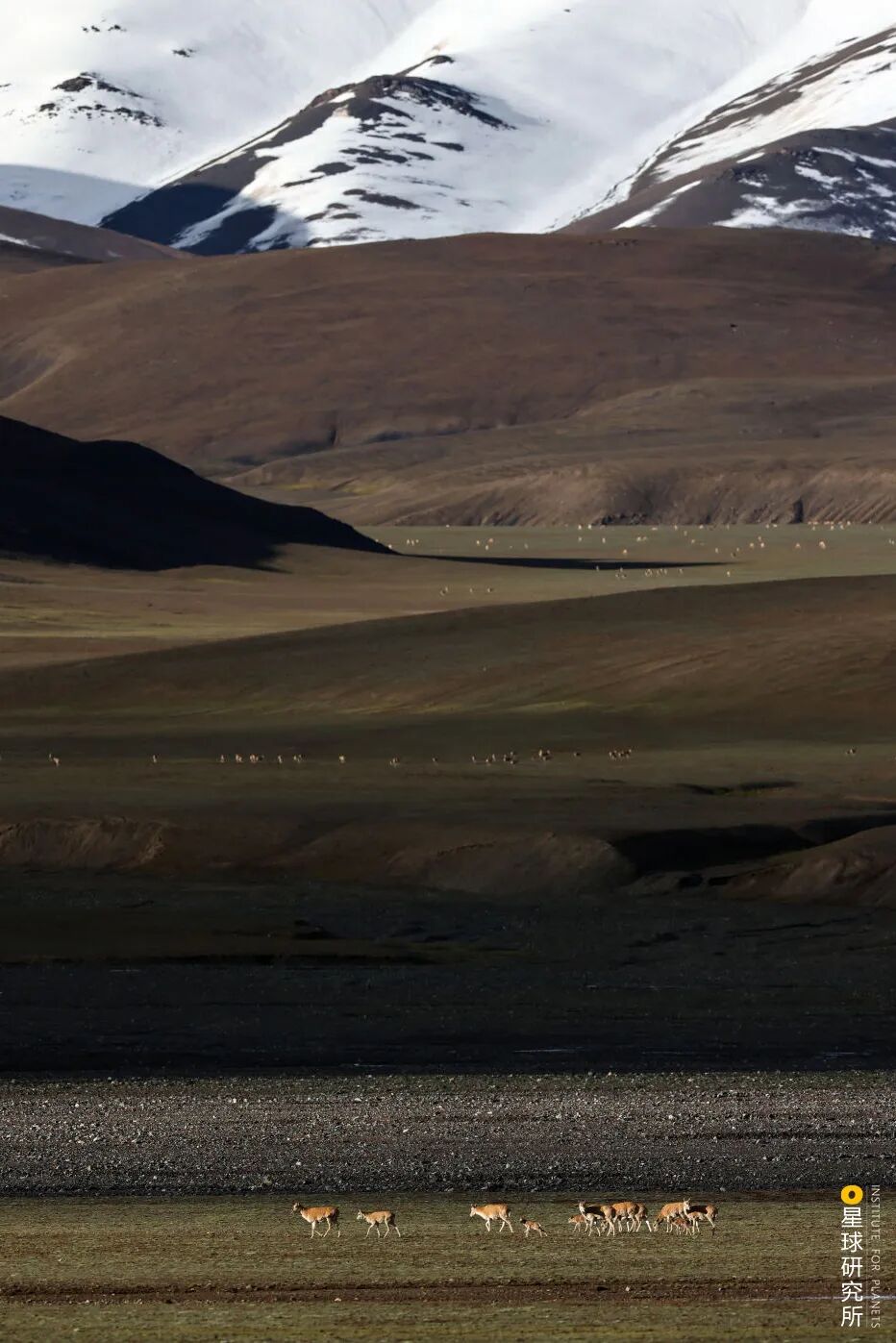 Image related to Altun Mountains: China's Most Obscure No Man's Land!