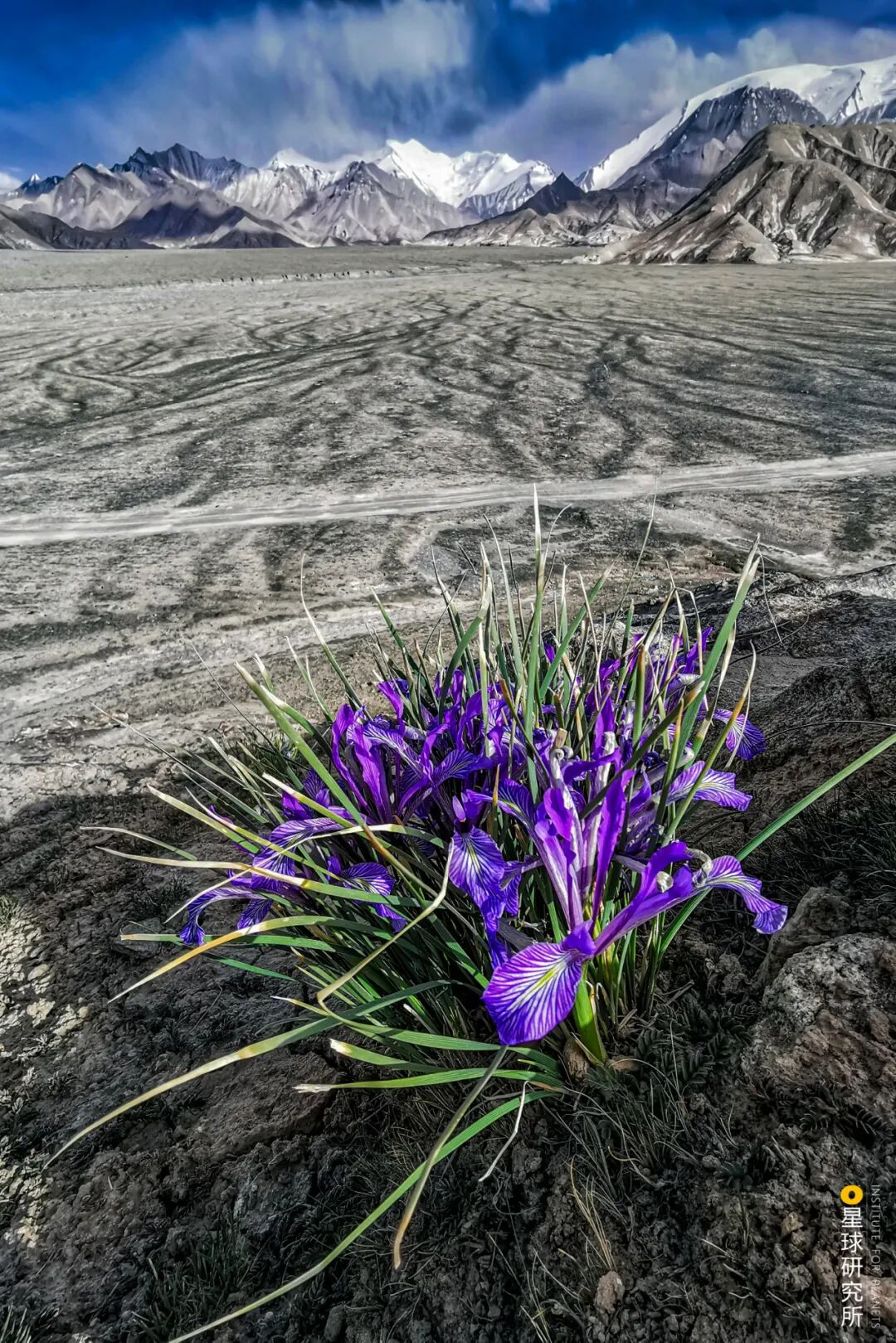 Image related to Altun Mountains: China's Most Obscure No Man's Land!