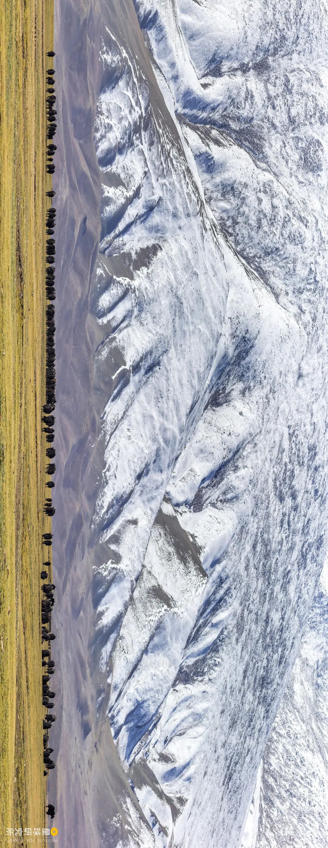 Image related to Altun Mountains: China's Most Obscure No Man's Land!