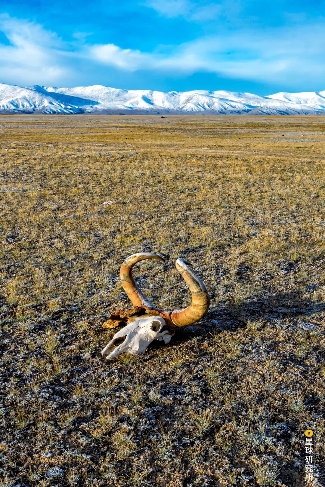 Image related to Altun Mountains: China's Most Obscure No Man's Land!