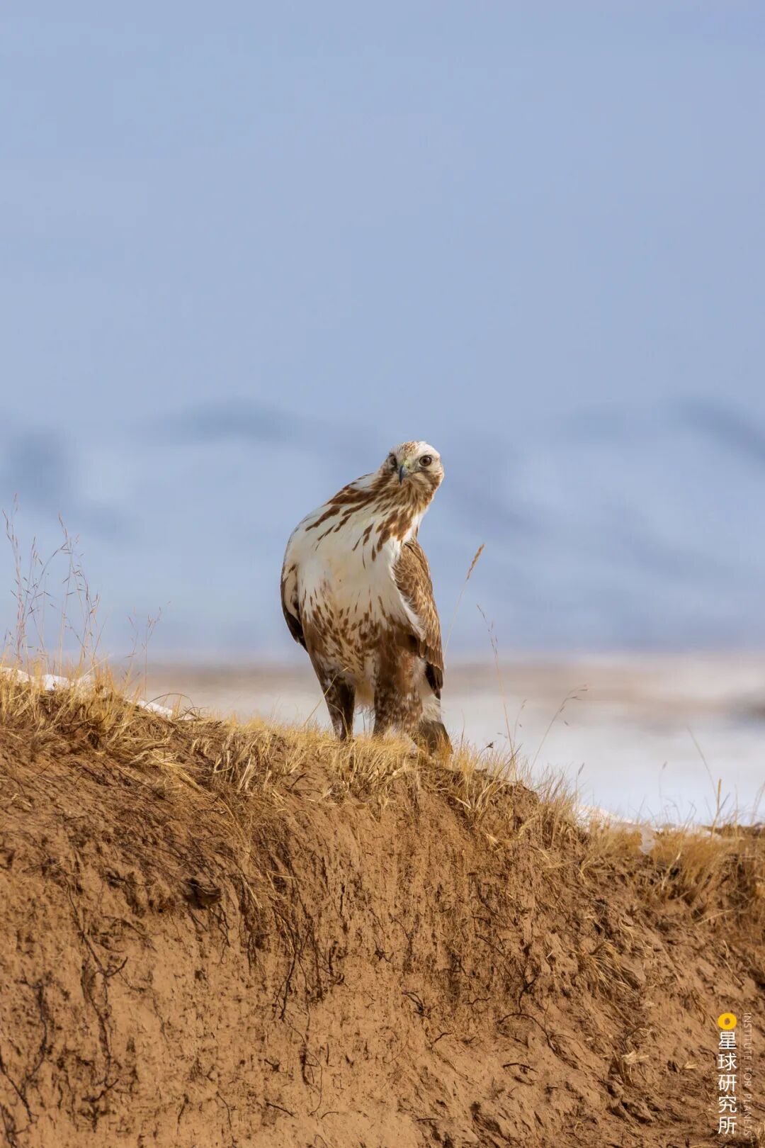 Image related to Altun Mountains: China's Most Obscure No Man's Land!