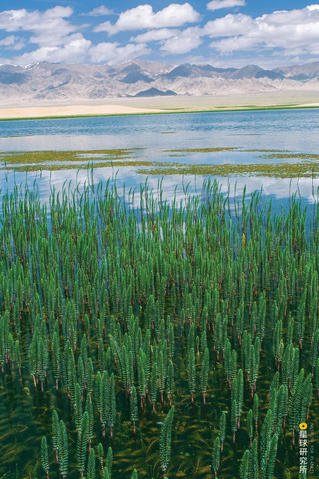 Image related to Altun Mountains: China's Most Obscure No Man's Land!