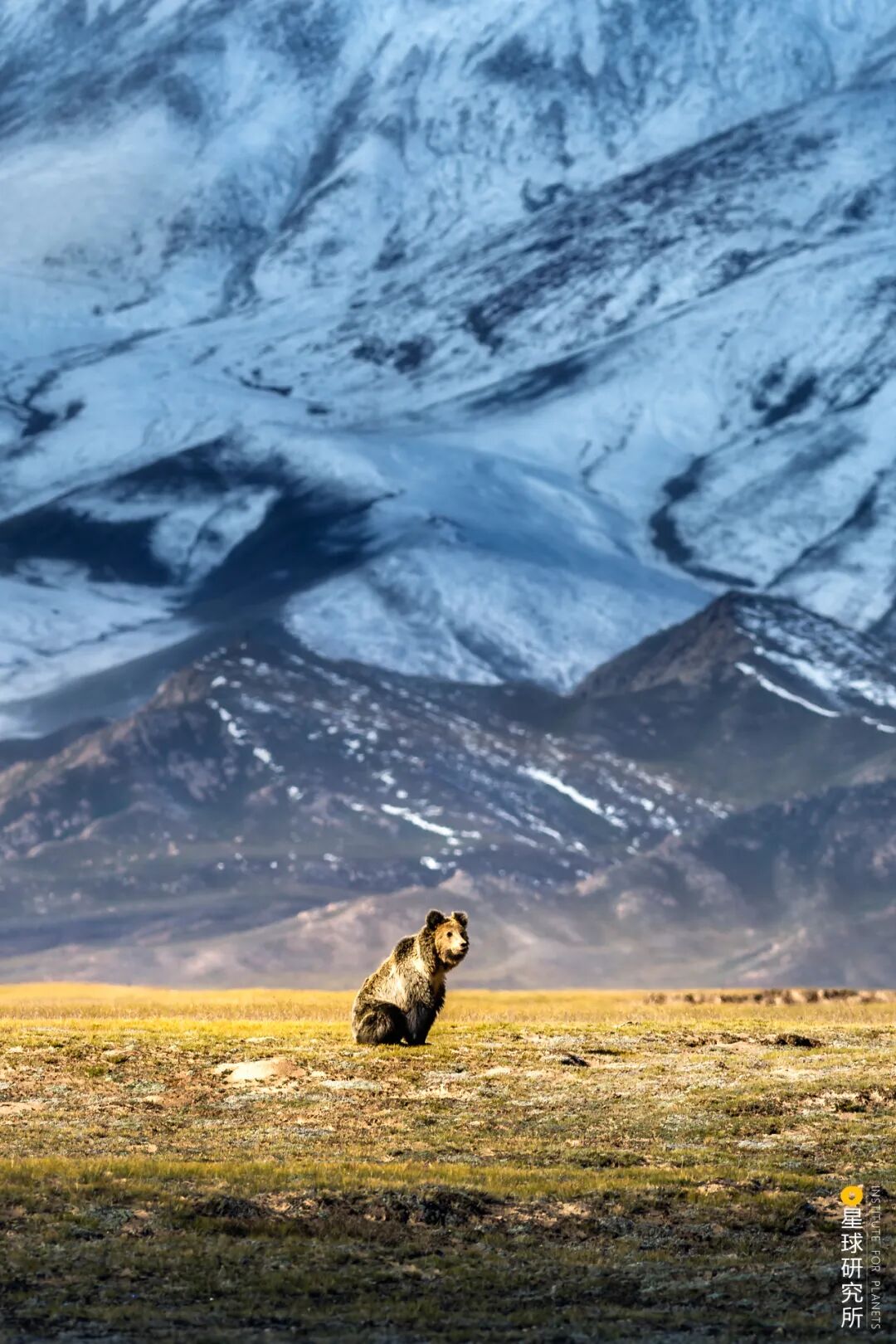 Image related to Altun Mountains: China's Most Obscure No Man's Land!