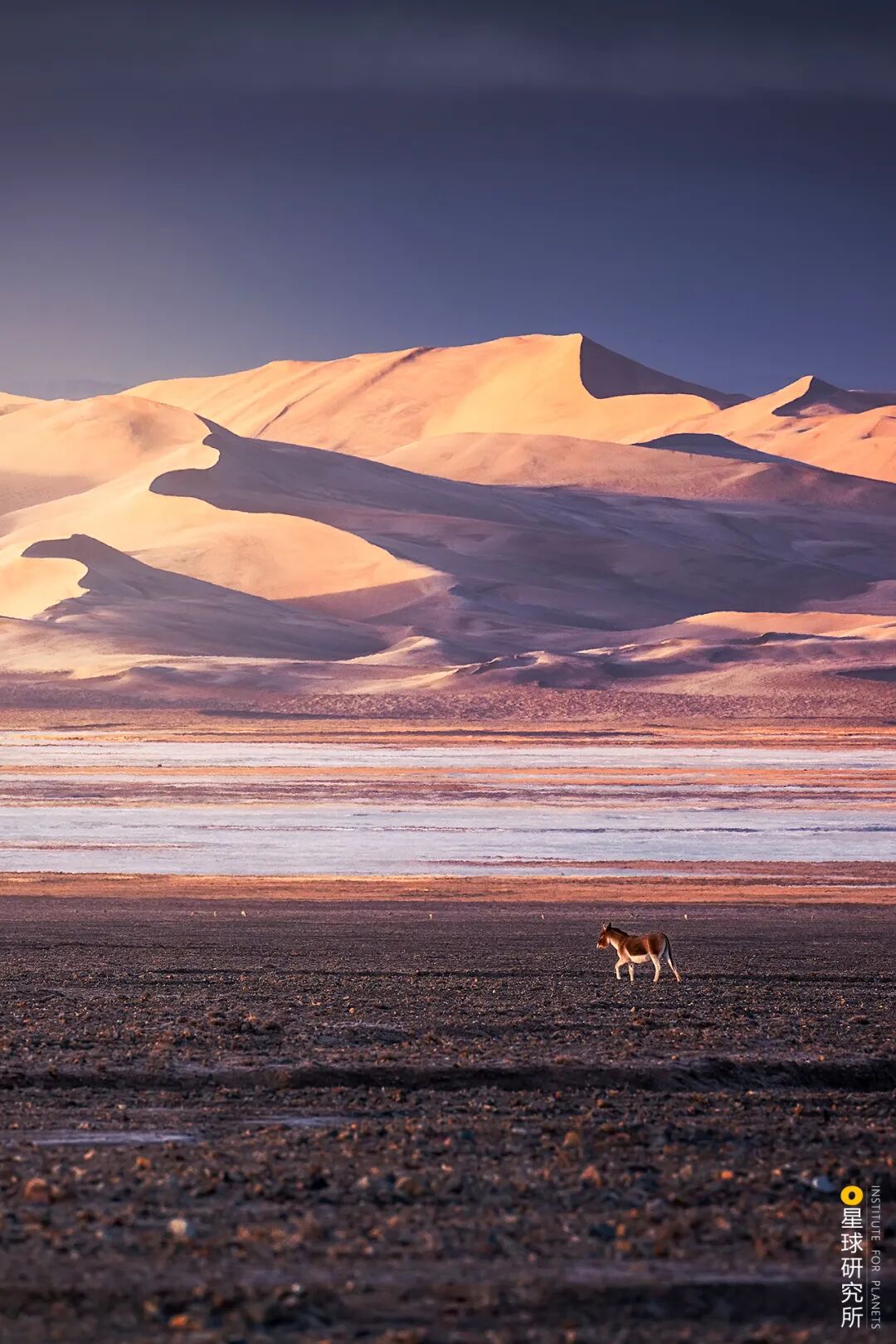 Image related to Altun Mountains: China's Most Obscure No Man's Land!