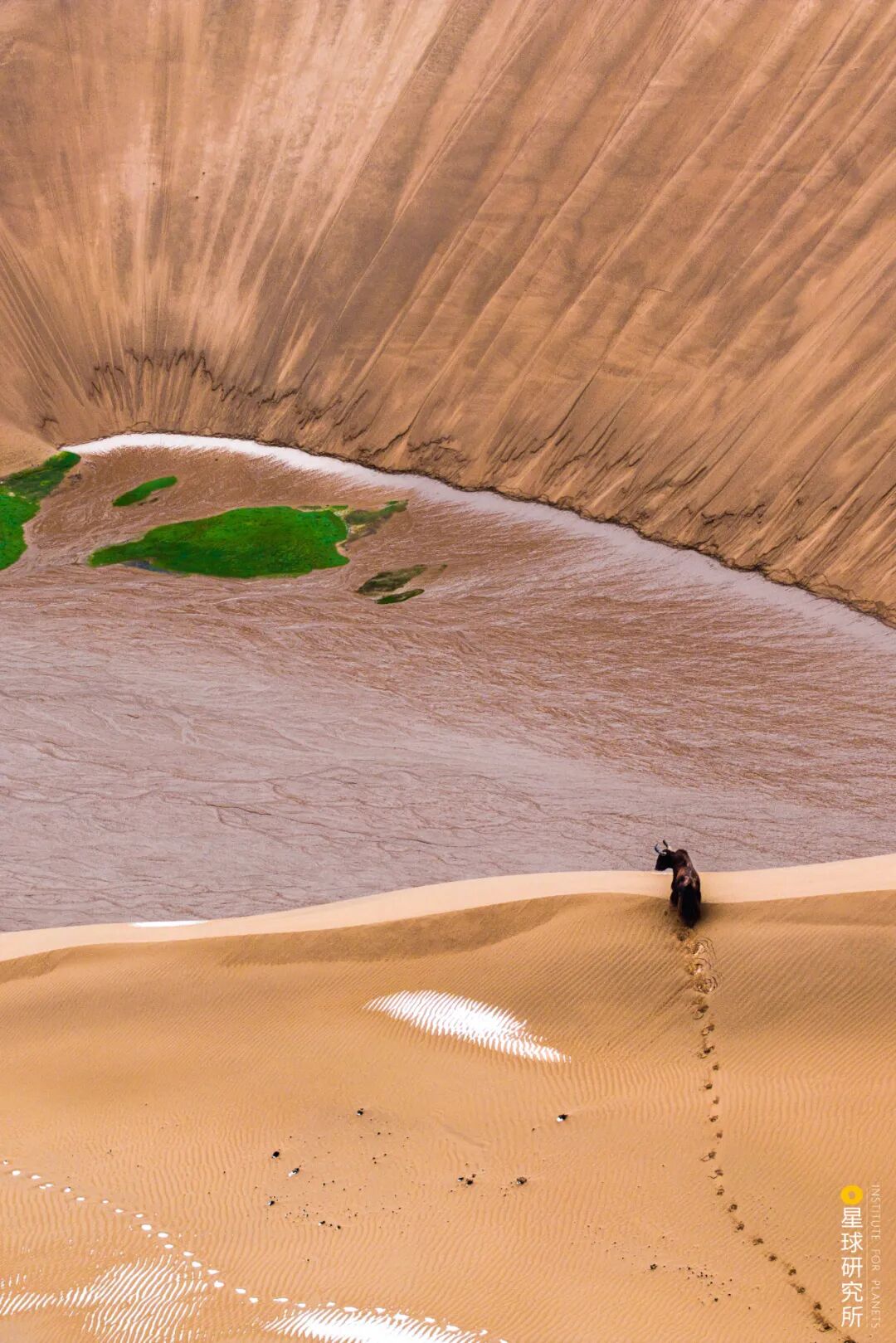 Image related to Altun Mountains: China's Most Obscure No Man's Land!