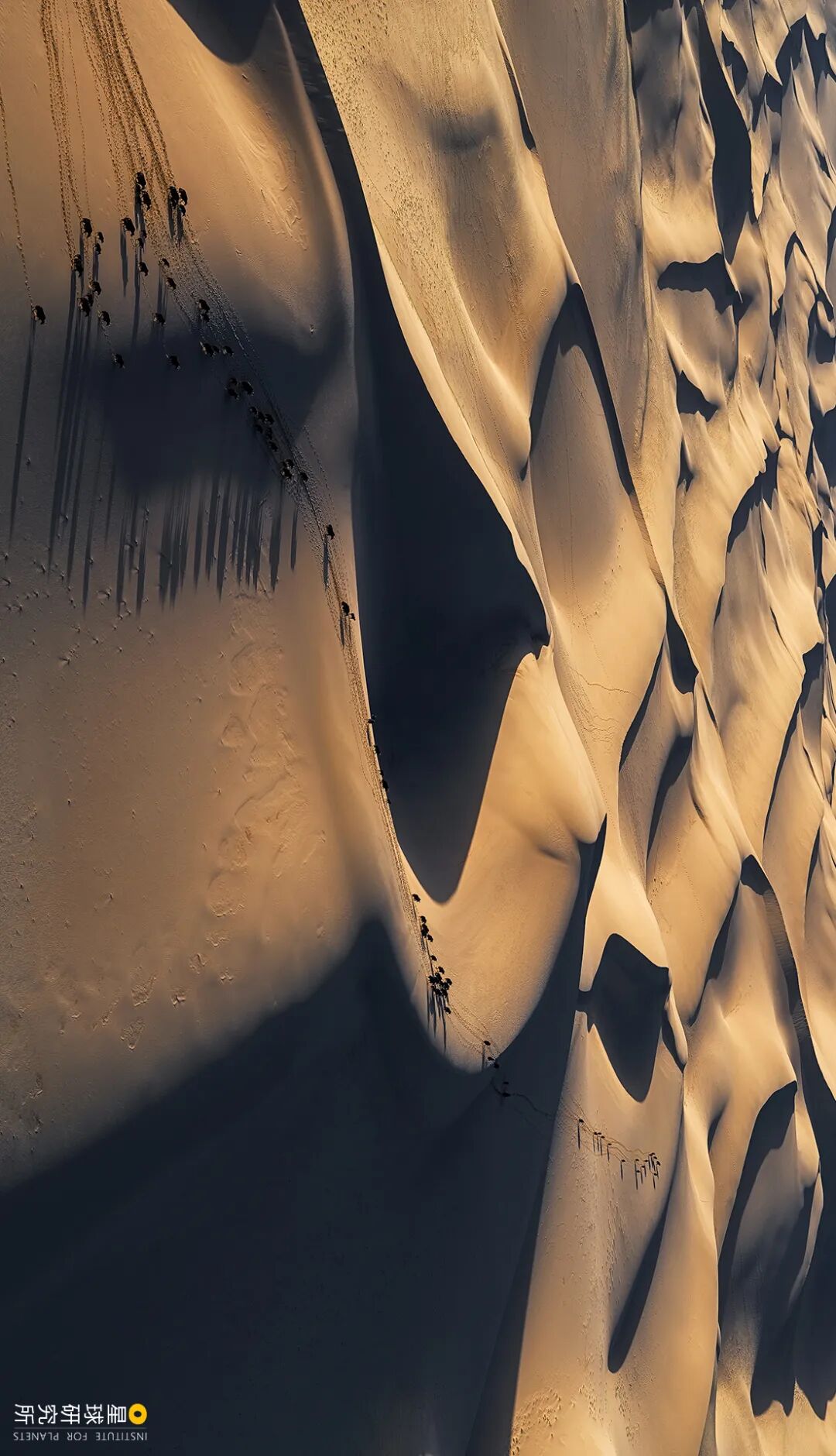 Image related to Altun Mountains: China's Most Obscure No Man's Land!