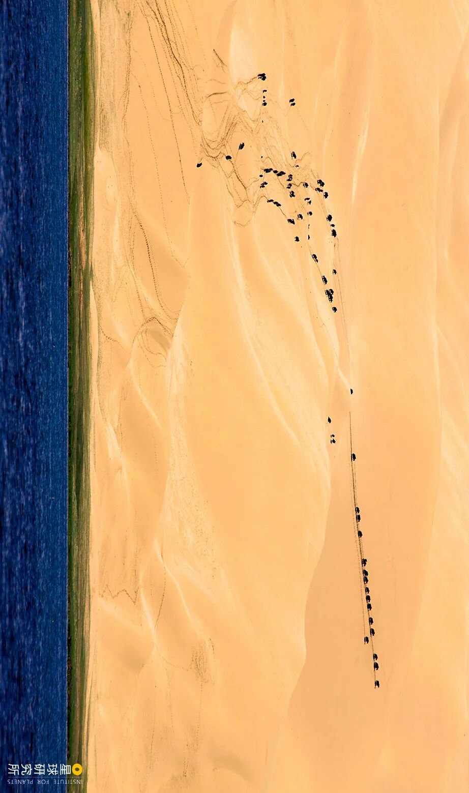 Image related to Altun Mountains: China's Most Obscure No Man's Land!