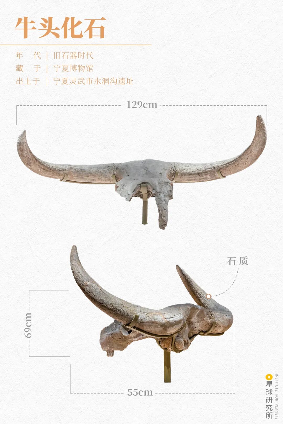 Image related to Discover Ningxia: Unlock a Hidden Treasure!