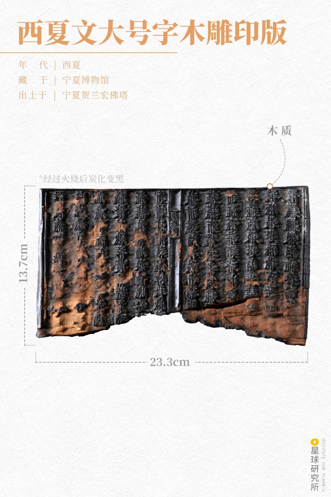 Image related to Discover Ningxia: Unlock a Hidden Treasure!
