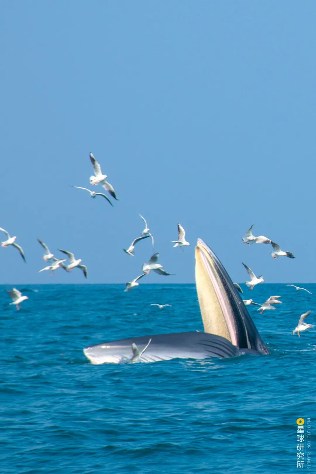 Image related to Beihai: The Unexpected Side of Guangxi