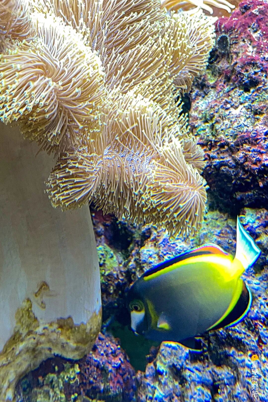 Image related to Beihai: The Unexpected Side of Guangxi