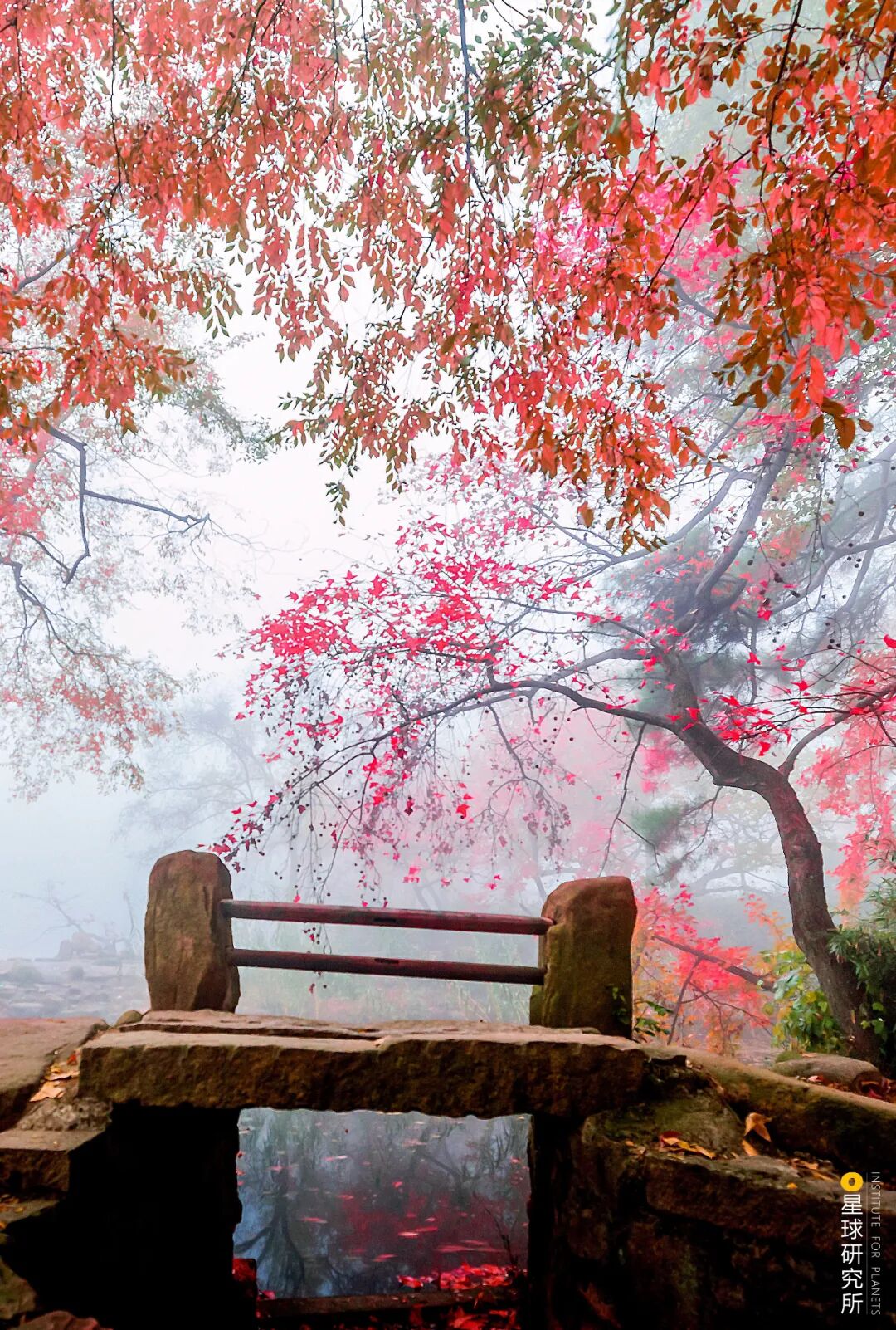 Image related to How Beautiful Are China's Ancient Bridges?