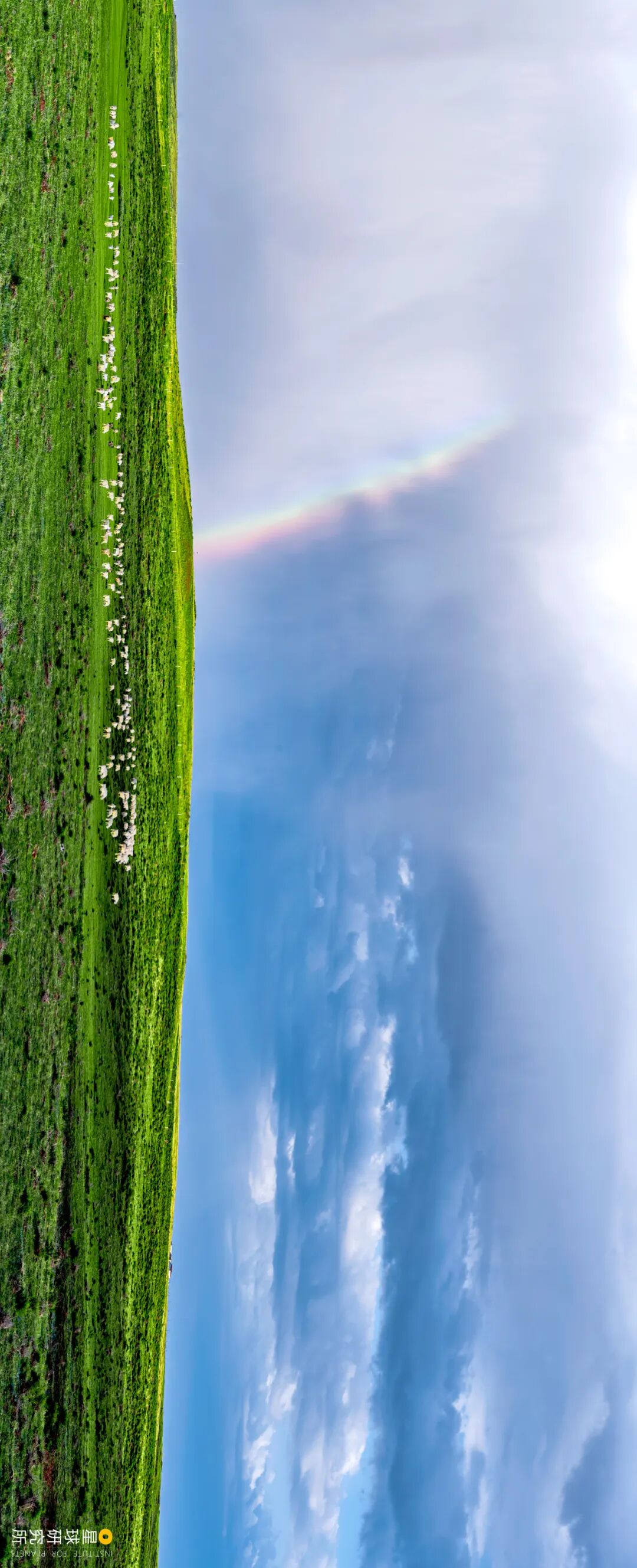 Image related to What Is the Real Ordos Like?