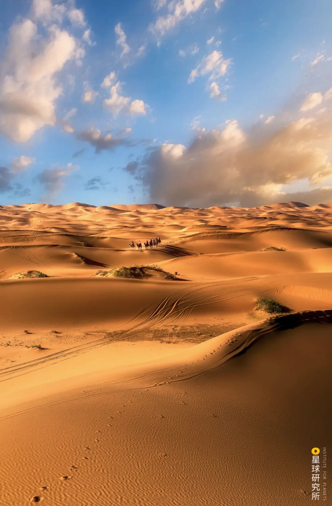 Image related to What Is the Real Ordos Like?
