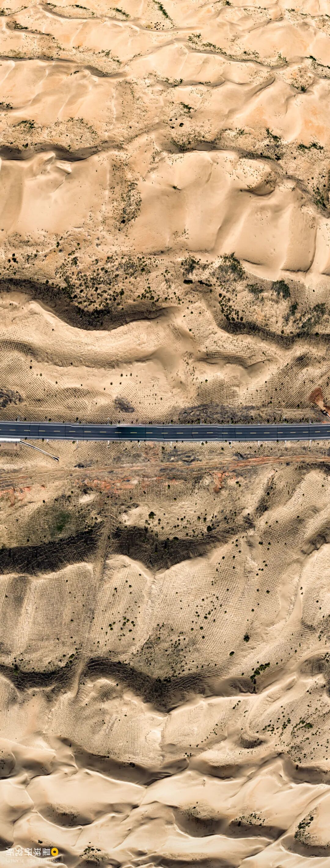 Image related to What Is the Real Ordos Like?