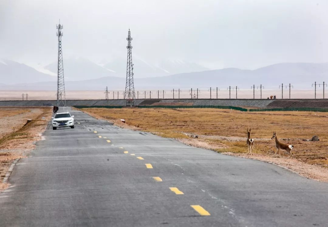 Image related to How Tough Is the Road to Tibet?