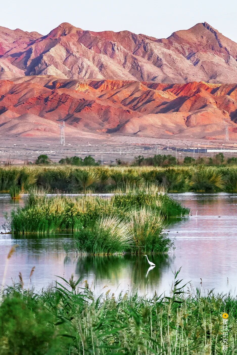 Image related to Discover Ningxia: Unlock a Hidden Treasure!