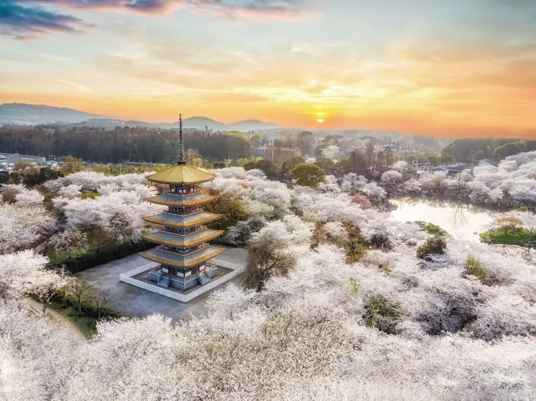 Image related to What Is Wuhan?