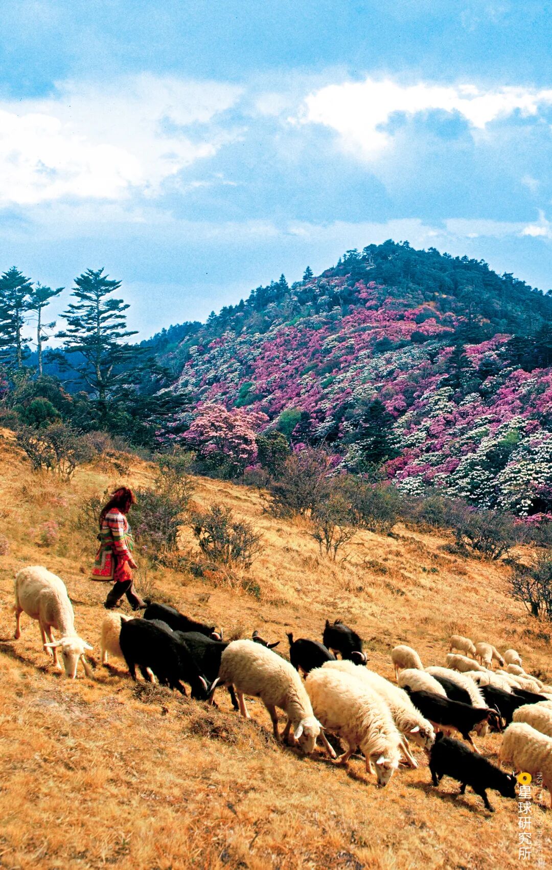 Image related to How Many Stunning Landscapes Grace Chuxiong, Yunnan?