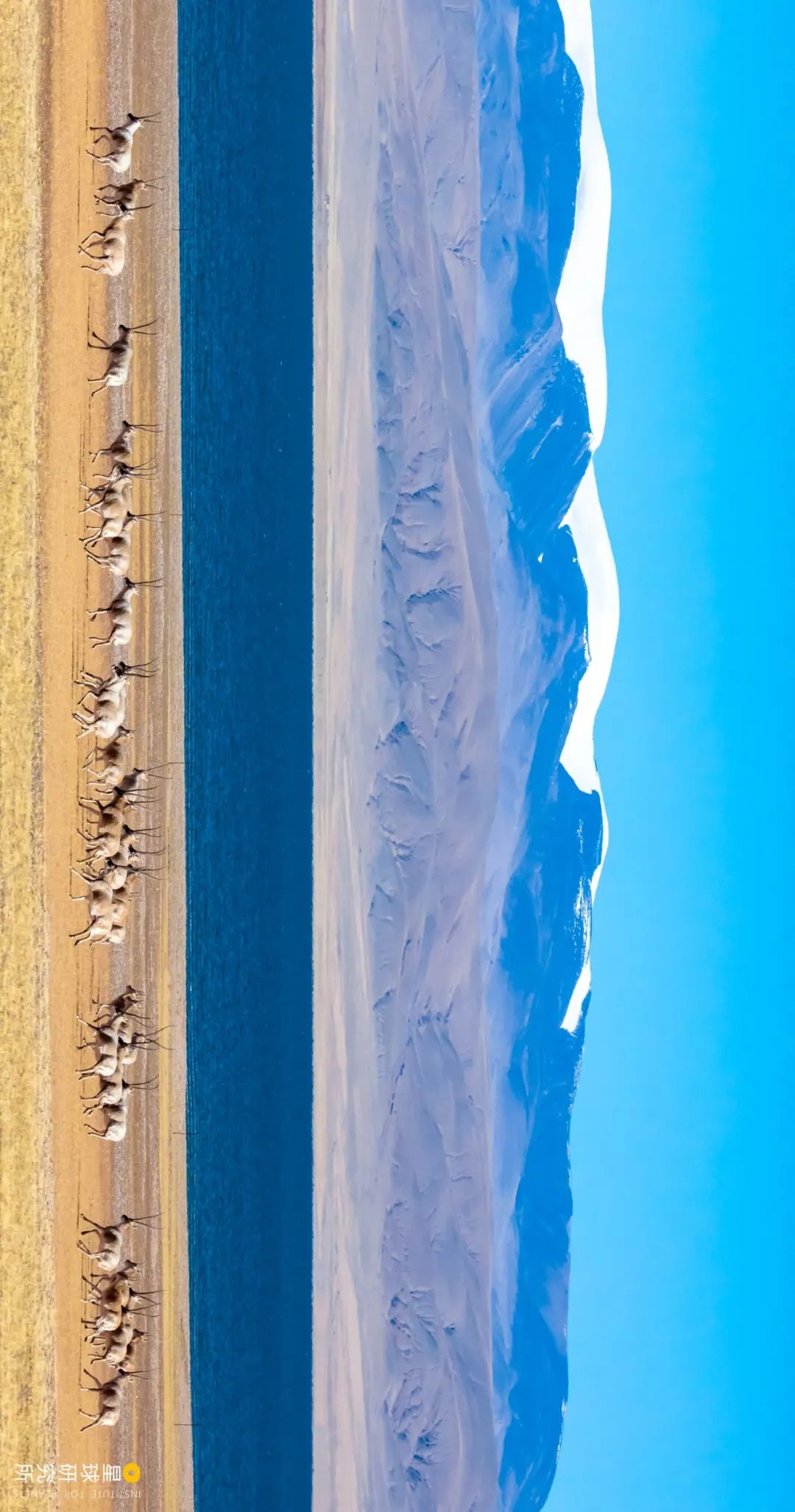 Image related to Explore the Tibetan Plateau: A Land of Countless Lakes!