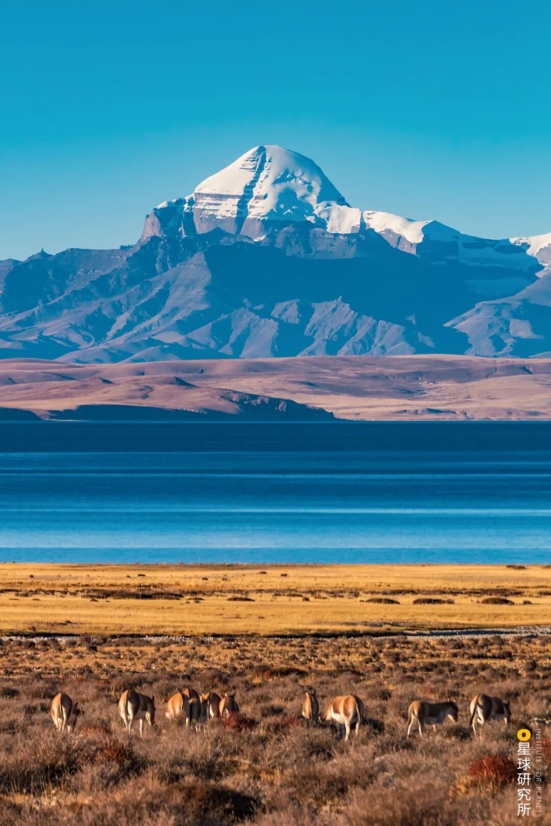 Image related to Explore the Tibetan Plateau: A Land of Countless Lakes!