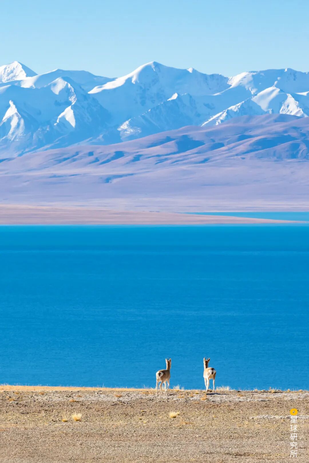 Image related to Explore the Tibetan Plateau: A Land of Countless Lakes!