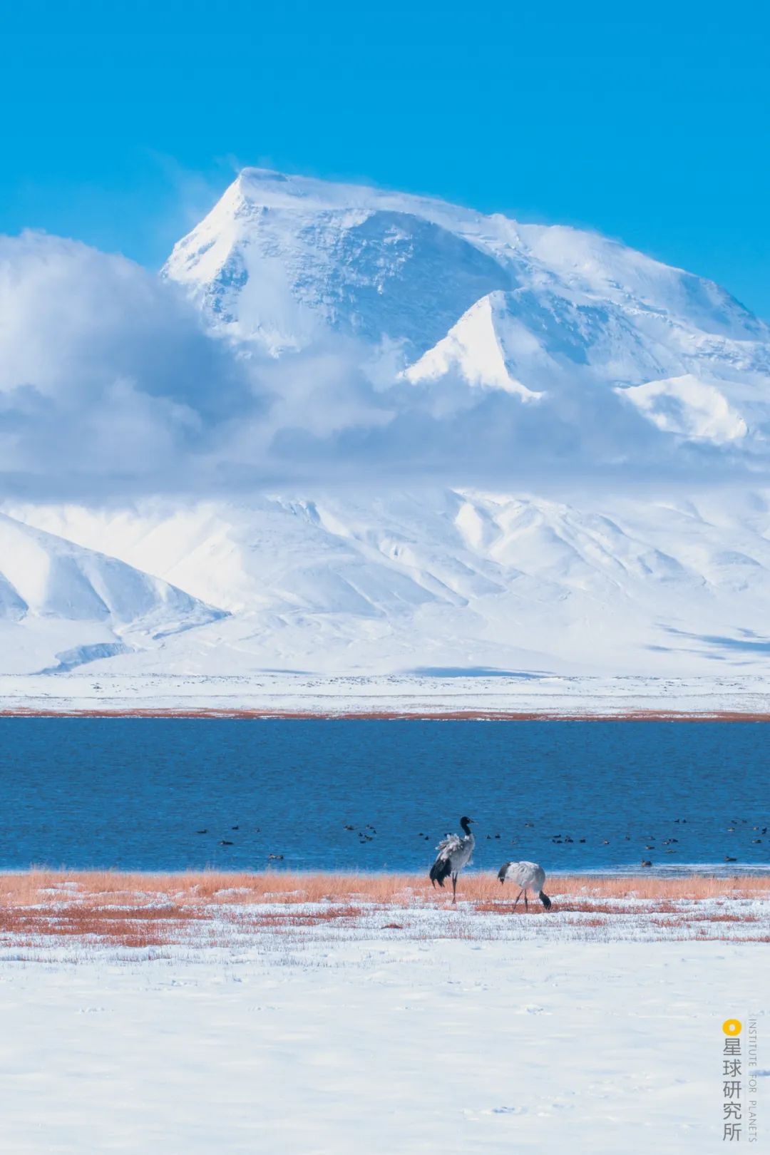 Image related to Explore the Tibetan Plateau: A Land of Countless Lakes!