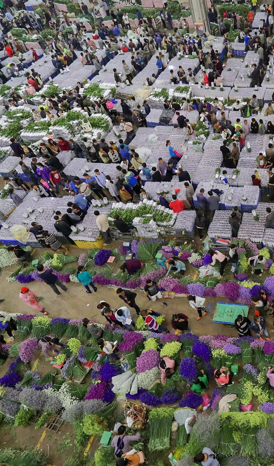 Image related to What is Yunnan?