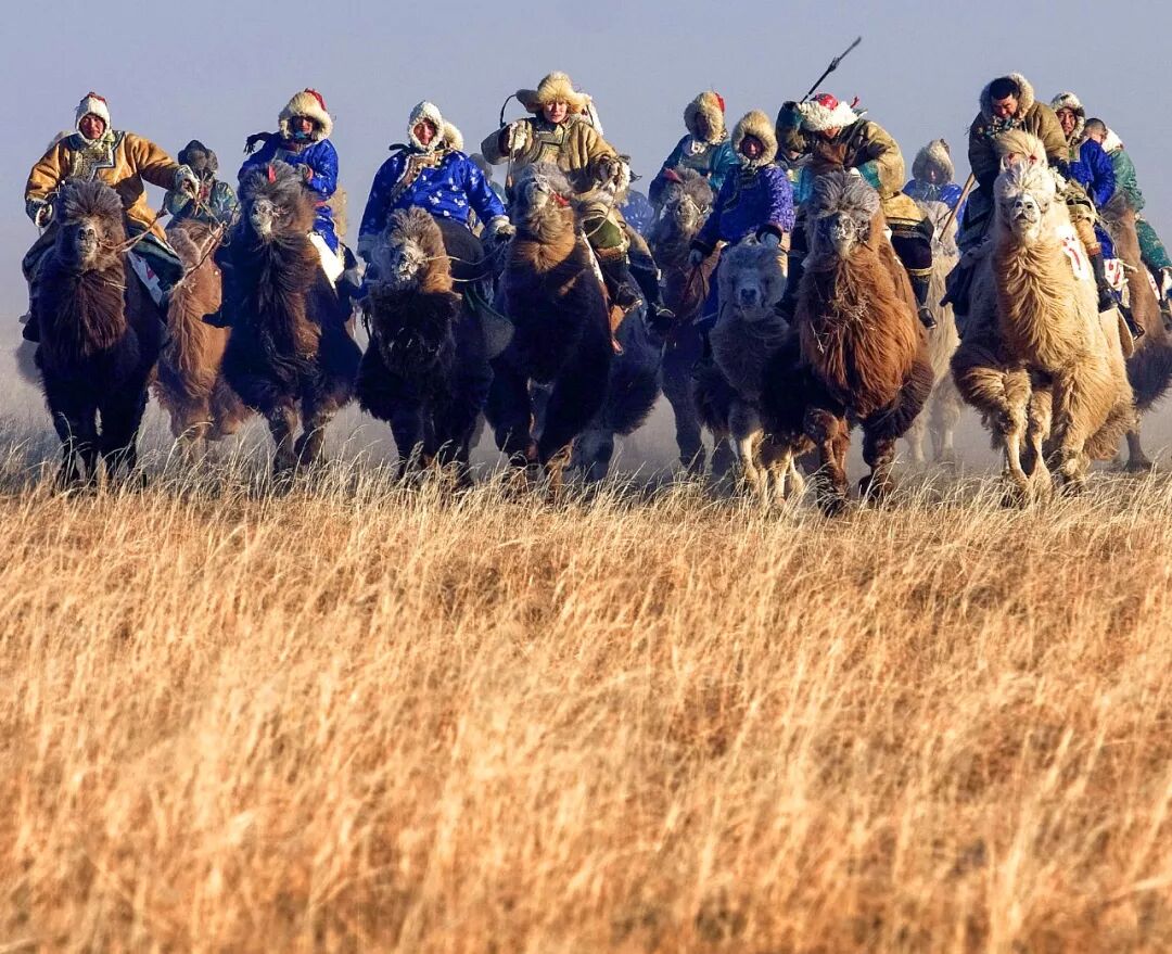 Image related to Who is the Top of China's Grasslands?