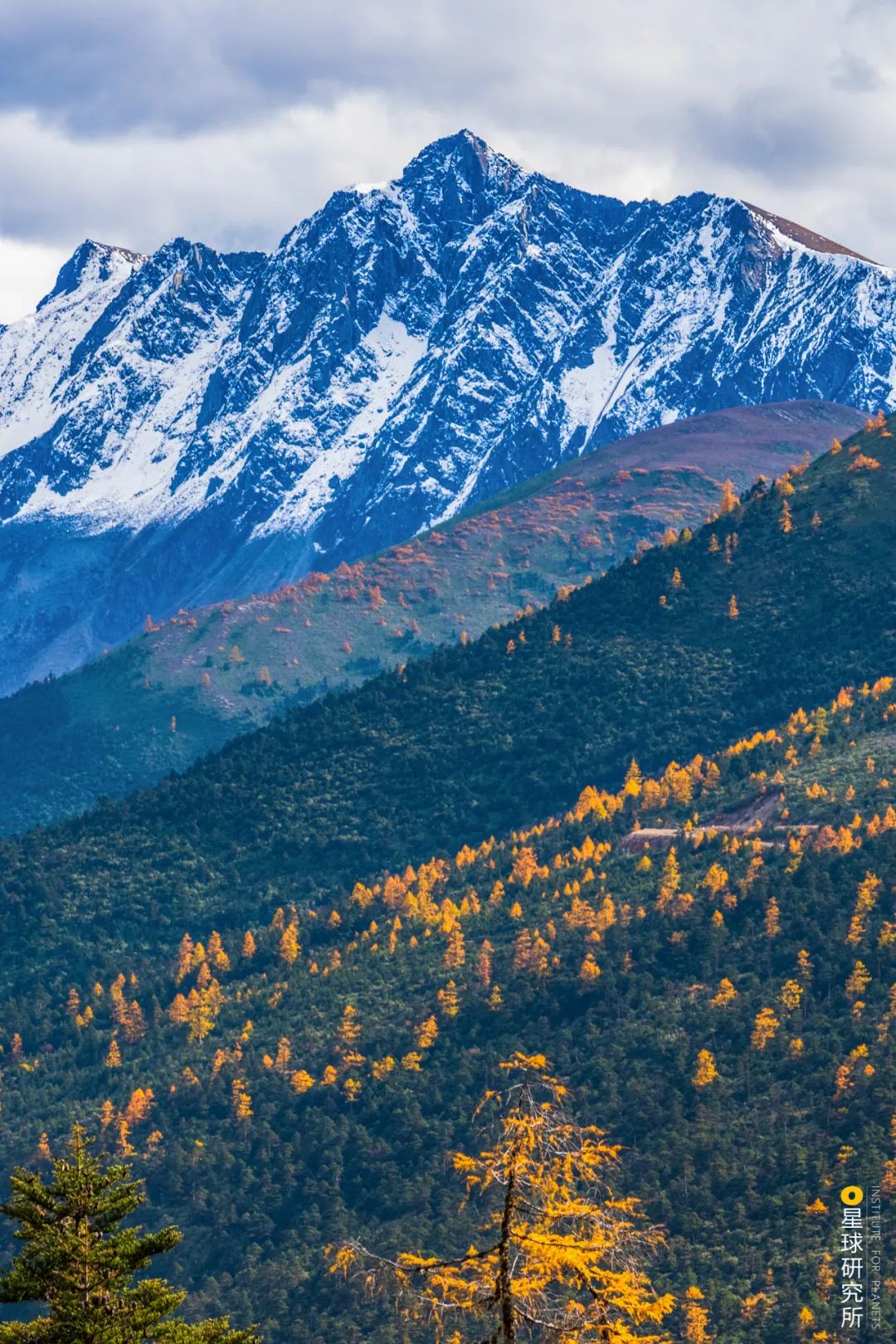 Image related to Let's Go to Shangri-La!