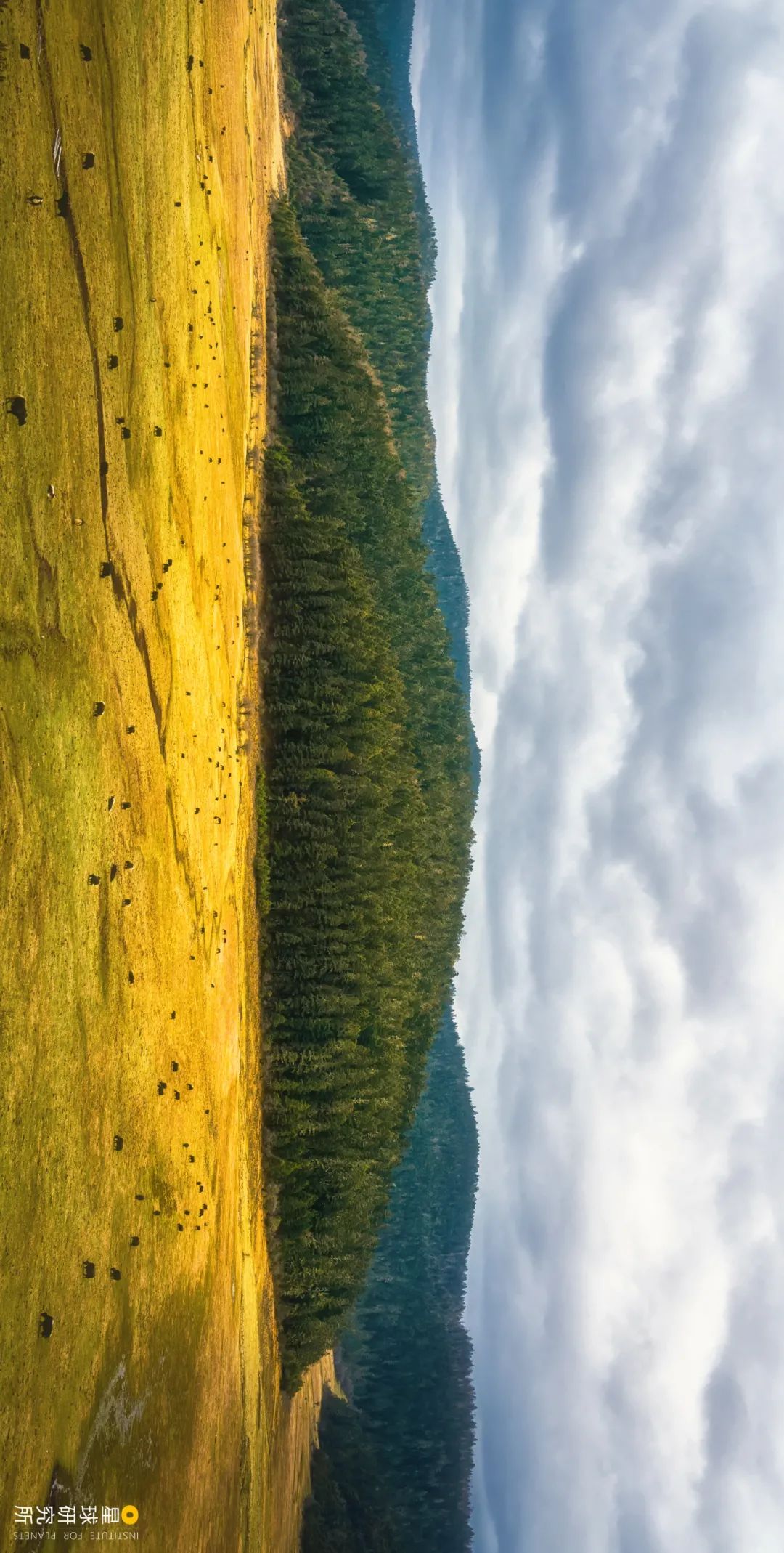 Image related to Let's Go to Shangri-La!
