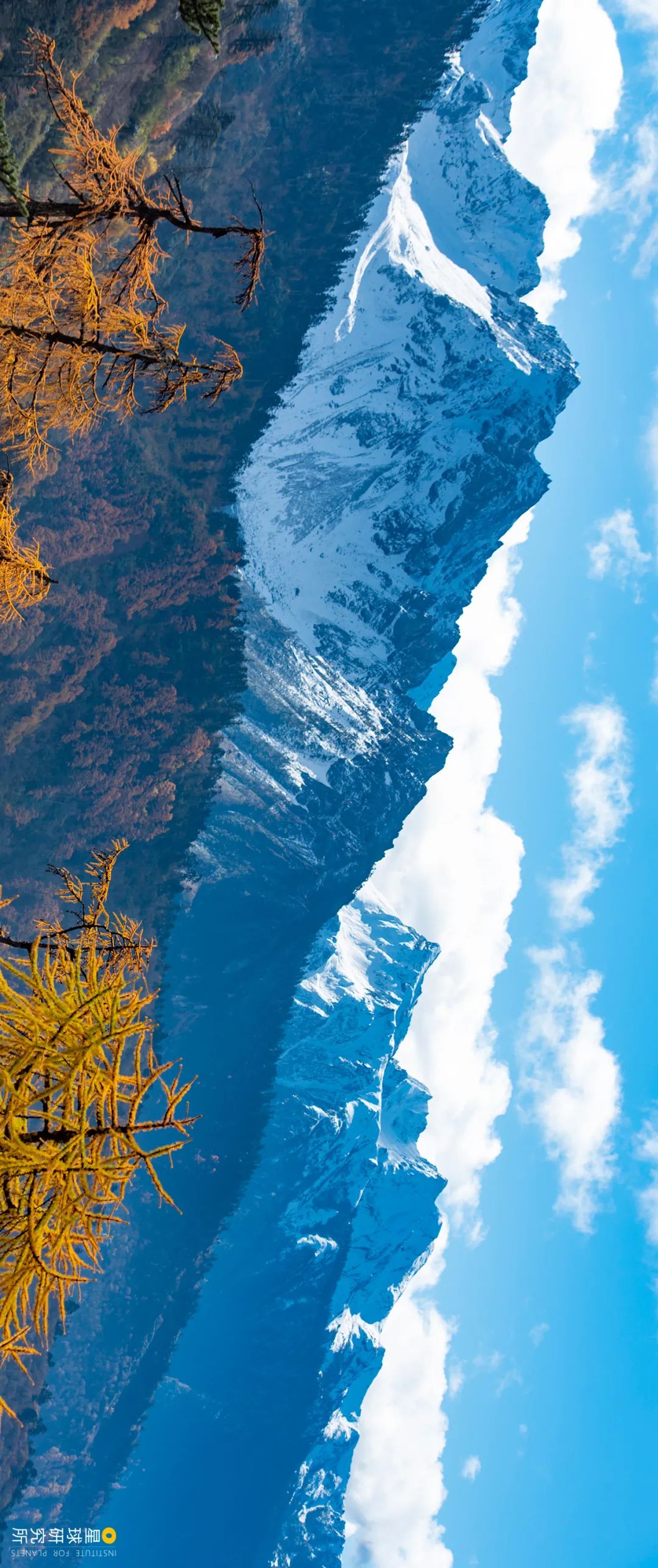 Image related to Let's Go to Shangri-La!