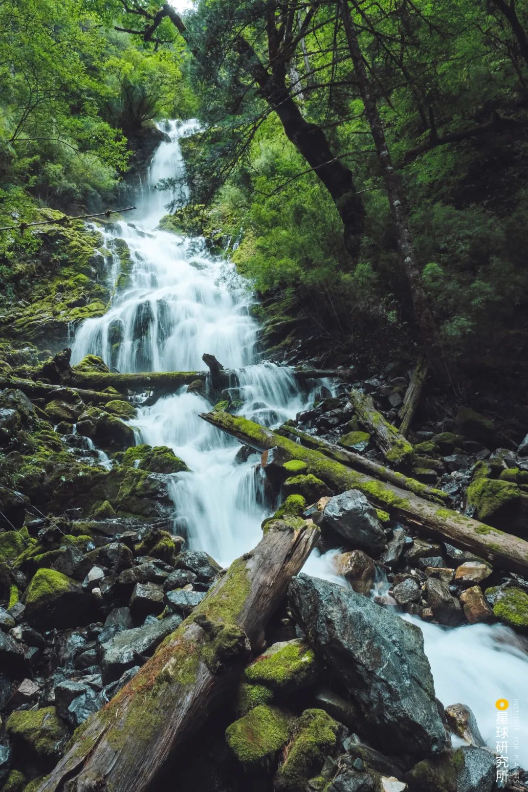 Image related to Let's Go to Shangri-La!