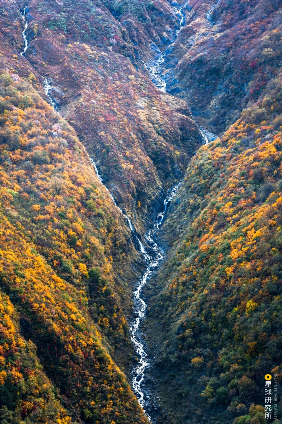 Image related to Let's Go to Shangri-La!