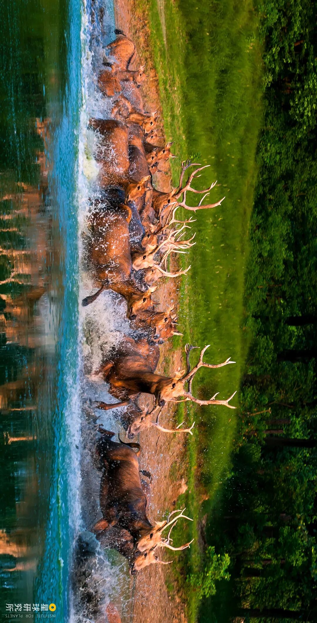 Image related to Explore China's Wetlands: A Journey Through Nature's Wonders