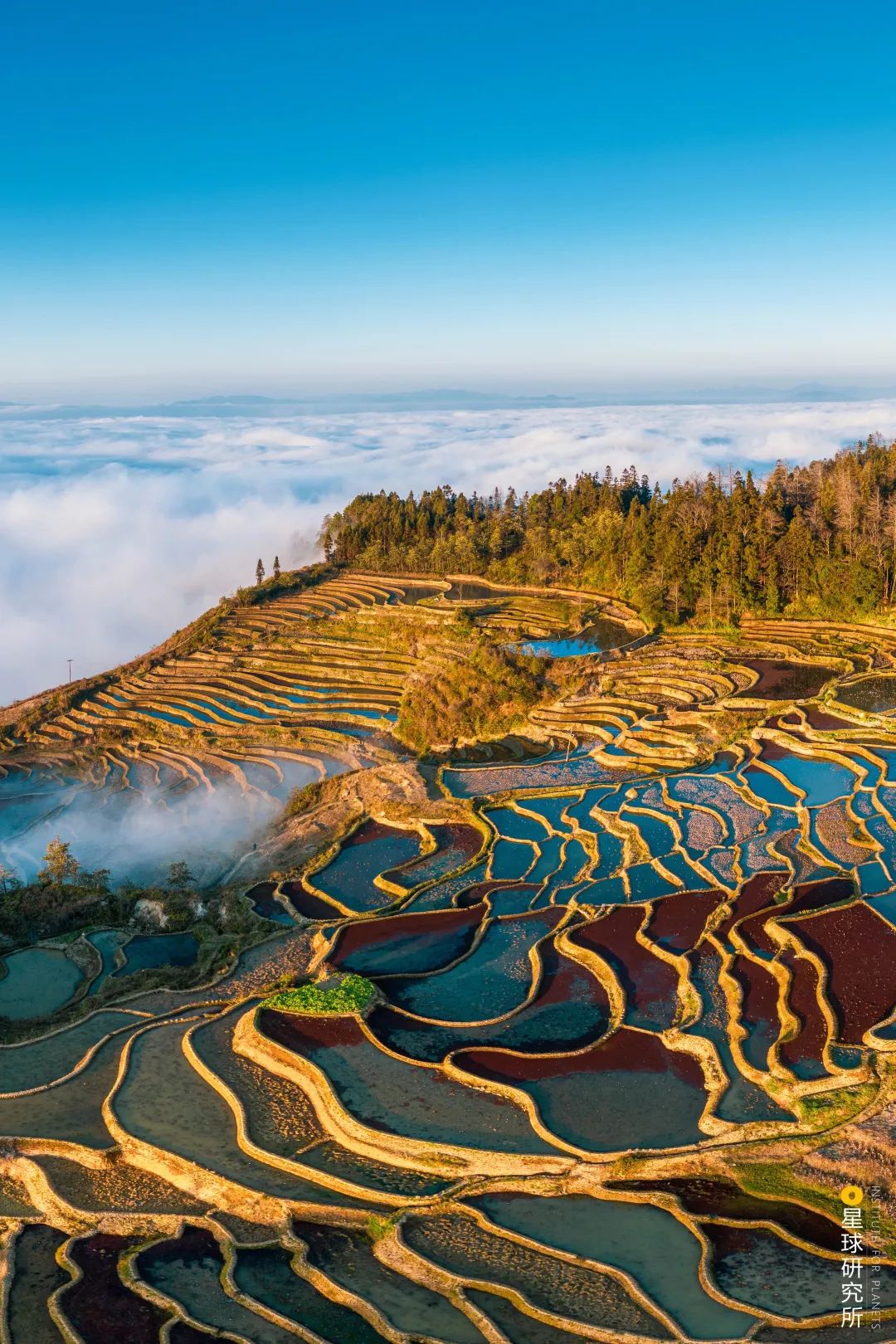 Image related to Explore China's Wetlands: A Journey Through Nature's Wonders