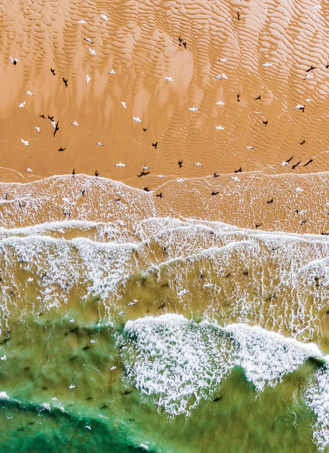 Image related to Explore China's Wetlands: A Journey Through Nature's Wonders