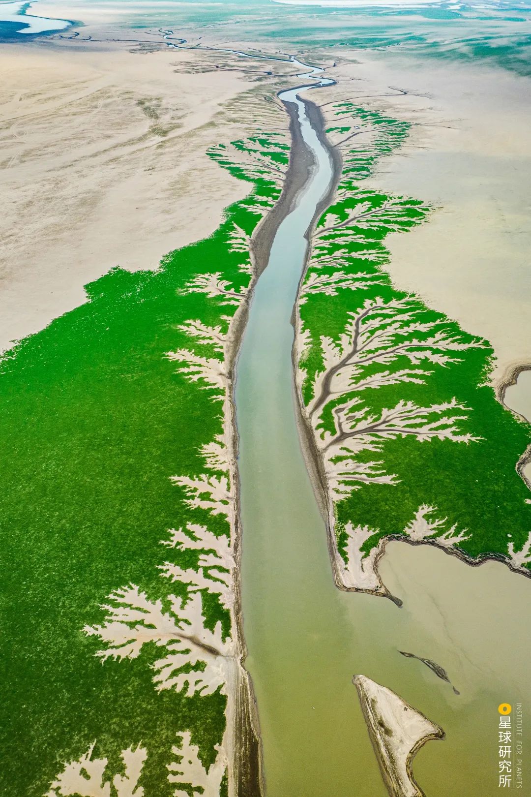 Image related to Explore China's Wetlands: A Journey Through Nature's Wonders