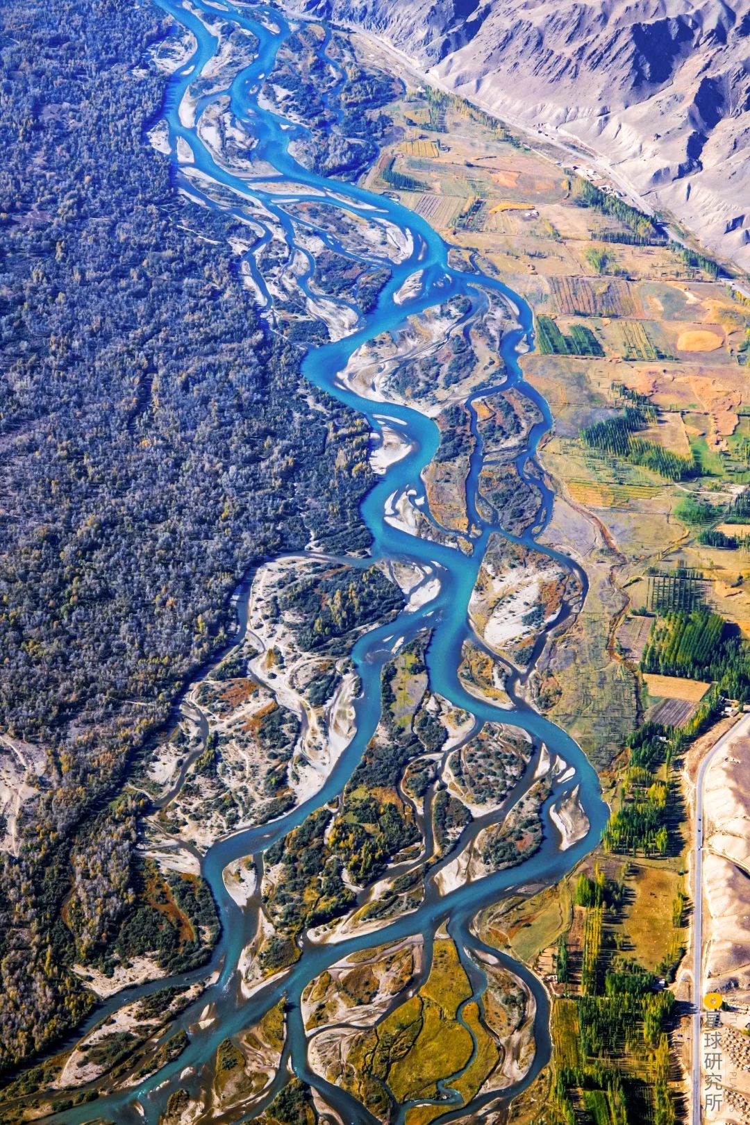 Image related to Explore China's Wetlands: A Journey Through Nature's Wonders